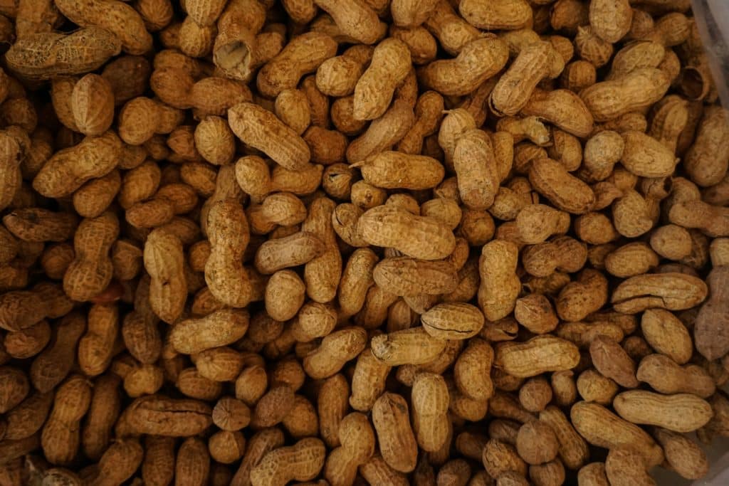 A close-up photo of a pile of peanuts in their shells.