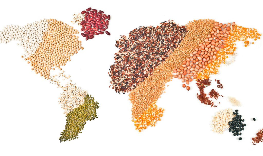 A map of the world is made up of different beans, grains, and seeds against a white background.