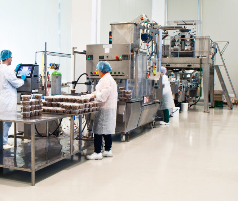 A food production line includes technology and automation.
